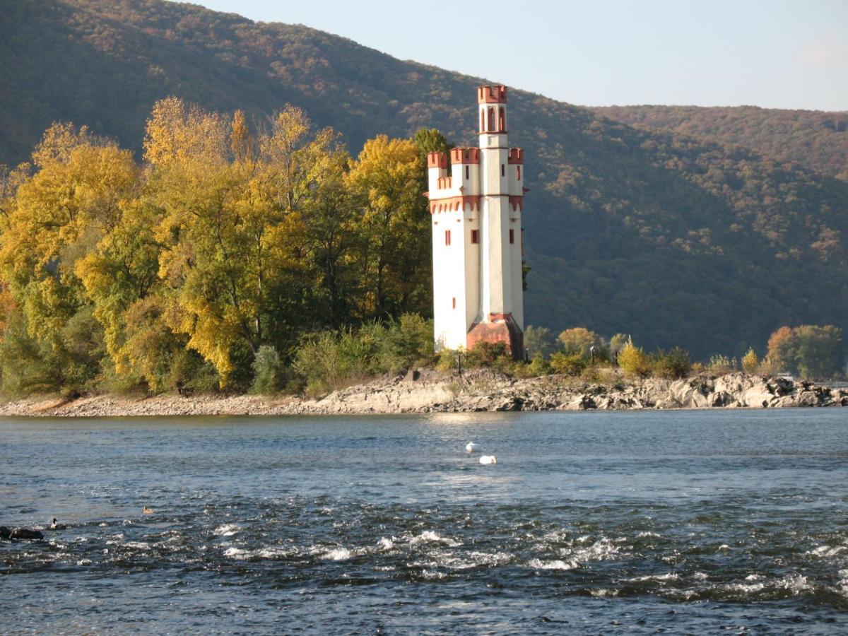 Helle Fewo, 60 Qm, Souterrain, Eigener Eingang, Rhein Und Nahe بينجين ام راين المظهر الخارجي الصورة